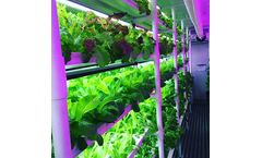 Cropbox - Shipping Container