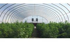 Growers - High & Low Tunnels