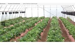 GrowSpan - Gothic Premium Greenhouses