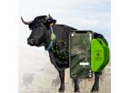 Digitanimal - GPS Cattle Tracker