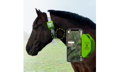 Digitanimal - Horse GPS Tracker