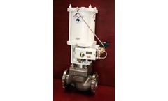 Delatite - Model DEL-CCT - Cavitation Control Trim Valves