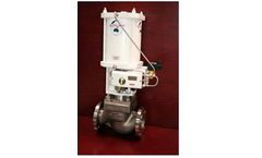 Delatite - Model AMCV - Eccentric Plug Control Valves