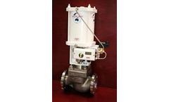 Delatite - Model AMBV - Full Prt Ball Valves