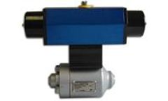 Delatite - Model AGCV - Globe Style Control Valve