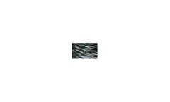 Fishmatik - Model CAS - Circulating Aquaculture Systems
