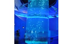 PG Acrylic - Marine World Acylic Cylinder Aquarium Fish Tank