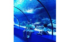 PG Acrylic - Large Custom Acrylic Aquarium Tunnel