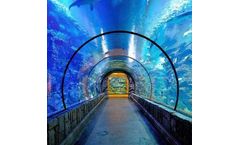 PG Acrylic - Aquarium Large Acrylic Tunnel