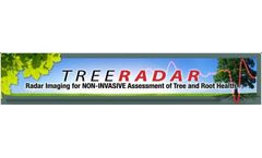 Tree Trunk Inspection Services