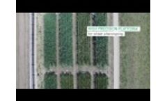 Phenospex FieldScan John Innes Center UK Video