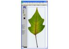 WinFOLIA - Computer Leaf Image Analysis Software