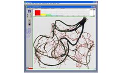 WinRHIZO - Root Image Analysis Software