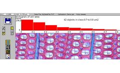 WinCELL - Wood Cell Image Analysis Software