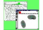 WinSEEDLE - Seed Image Analysis Software