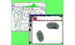 WinSEEDLE - Seed Image Analysis Software
