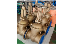 Jonloo - Model C95800 DN300 - Bronze Gate Valve