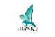 Hawk Measurement Systems