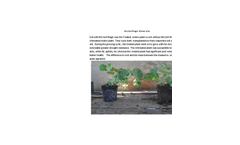 Bio Soil Magic- Melon Trial Datasheet