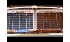 Kings of Green - Clearshield by Ritec Video