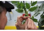 KeyGene - Enhance Breeding Efficiency Technology