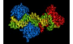 KeyGene - Induce Desired Variation Technology