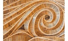 Hexion VeoVa™ - Monomers for Wood Water Resistant Adhesives