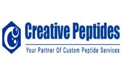 Bax inhibitor peptide, negative control