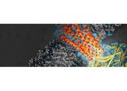 Custom Peptide Synthesis Services