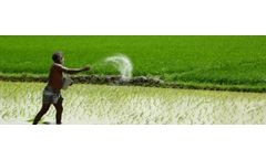 Alfa Chemistry Testing Lab: Fertilizer Testing Service for Agricultural Products & Crops Industry