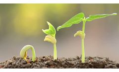 Plant Growth Regulator Residue Testing