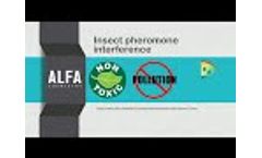 Insect Pheromone
