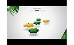 Plant Extract