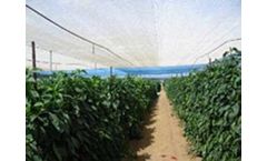 ChromatiNet - 30-35% Pearl Shade Net