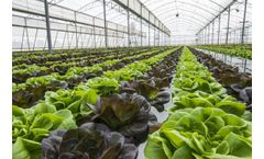 Solutions for Crop Science