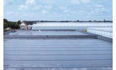 Albers Alligator - Floating Cover