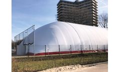 Albers Alligator - Air Domes