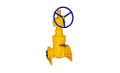 Xinhai - Model GV DIN CS 01 - Cast Steel Gate Valves