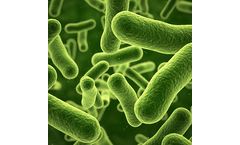 Biological Wastewater Treatment