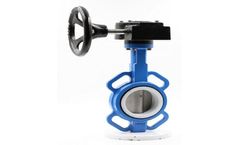 PTFE Seat Wafer type Butterfly Valve