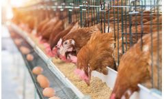 Monitoring of Feed Ingredients