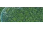 Measure the Organic Carbon in Soil