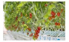 Membrane cell electrolysis system for Crops industry