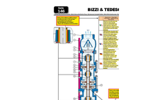 Bizzi & Tedeschi - Model 146 series - 6” Submersible Electric Pumps - Brochure