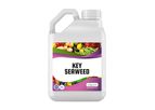 Key - Seaweed Fertilizer: Organic Plant Nutrition Boost