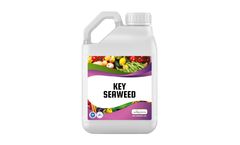 Key - Seaweed Fertilizer: Organic Plant Nutrition Boost