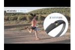 EnerBee wearable technology - Video