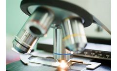 Purpose of Mold Sampling During An Inspection