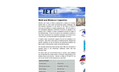 Mold & Moisture Inspection Flyer