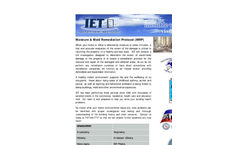 Mold Remediation Protocol Flyer